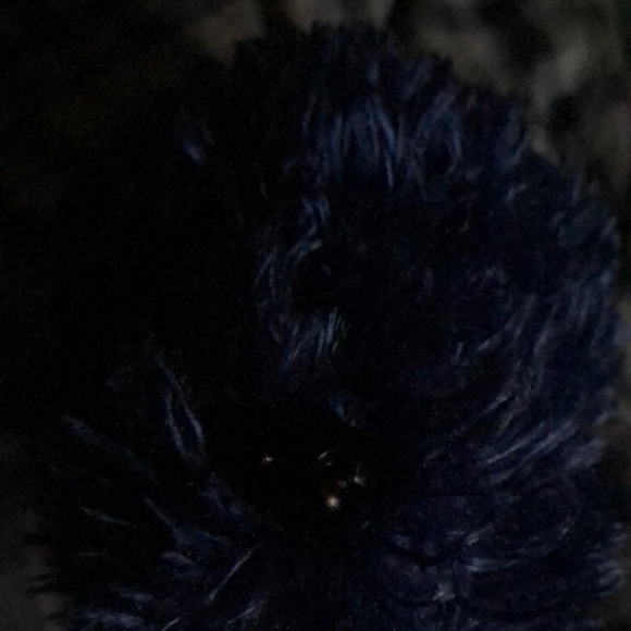 Meet your Posher, Calvin - Picture 1 of 1